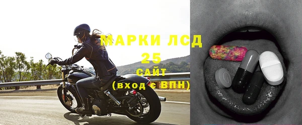 ешки Болотное